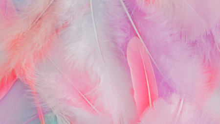 pink feather wool pattern texture backgroundの写真素材