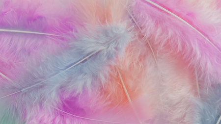 pink feather wool pattern texture backgroundの写真素材