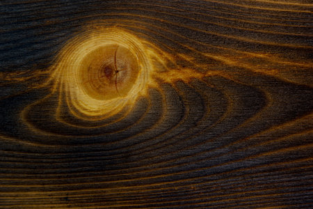 wood plank Texture background for designの写真素材