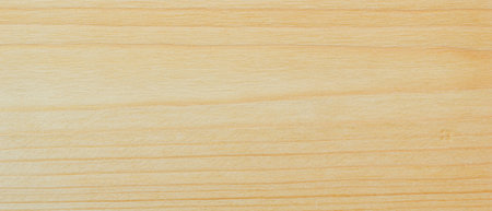 wood plank Texture background for designの写真素材