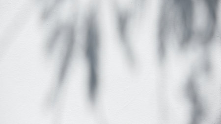 Black and White  abstract background textuer of shadows leaf on a concrete wall.