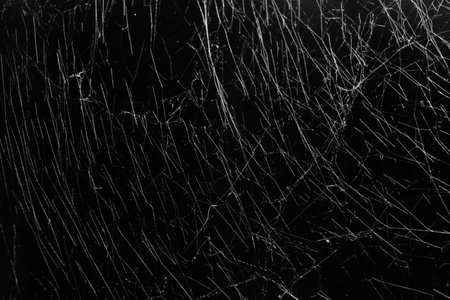 cobweb spider texture on black background, trap danger