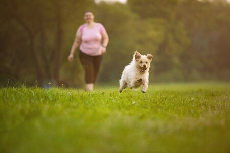 Happy dog my best friendの写真素材