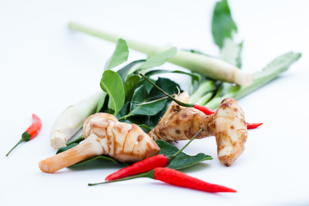 Vegetables on floor white colorの写真素材