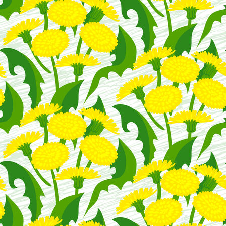 Vector seamless floral pattern with dandelion flowers on white. のイラスト素材