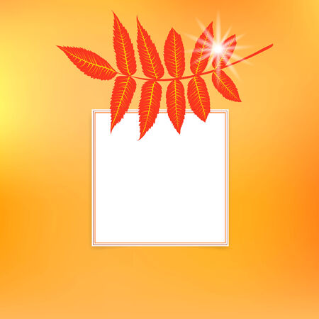 card with autumn decorのイラスト素材