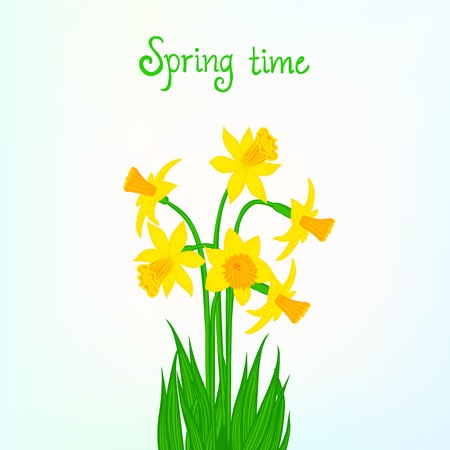 Spring card background with daffodilのイラスト素材