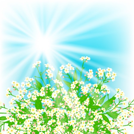 Vector card with small white flowersのイラスト素材