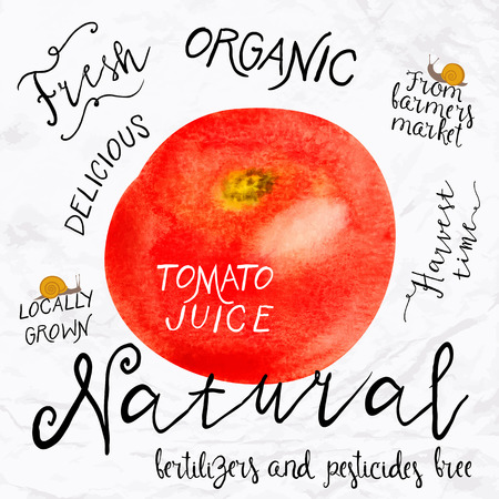 Vector illustration of watercolor tomato, hand drawn in in 1950s or 1960s style. Concept for farmers market, organic food, natural product design, juice, sauce, ketchup, soup etc.のイラスト素材