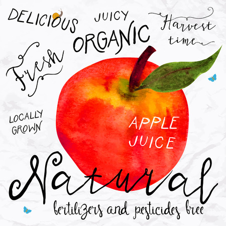 Vector illustration of watercolor red apple, hand drawn in 1950s or 1960s style. Concept for farmers market, organic food, natural product design, soap package, herbal tea, etc.のイラスト素材
