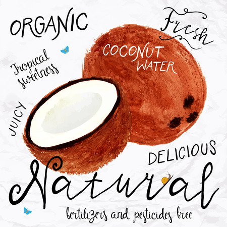 Vector illustration of watercolor coconut, hand drawn in in 1950s or 1960s style. Concept for farmers market, organic food, natural product design, soap package, coconut oil, etc.のイラスト素材