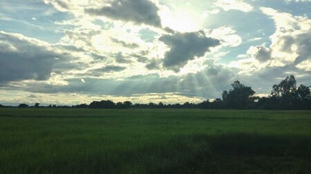 Sunshine over the field.