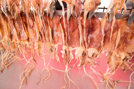 closeup dried squid