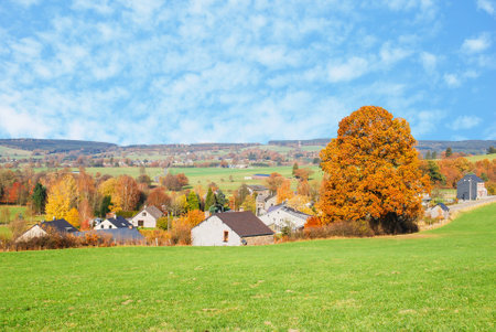 Beautiful landscape of small village in autumn season, in sunny day with yellow ,golden and red leaves tree with background green field and blue sky and white clouds, romantic season and happy holiday.の写真素材