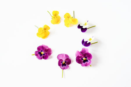 Beautiful mix color pansy violet flower in tricolor, white, yellow and violet or purple on White background.の写真素材
