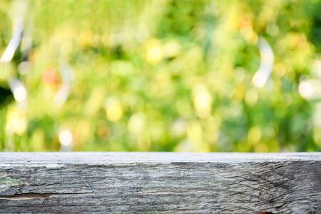 Perspcective soft focus old wood nature with background blurry bokeh green lime leaves tree,...