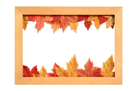 Autumn composition. Nature wooden frame with colorful of autumn maple leaves on a white background...