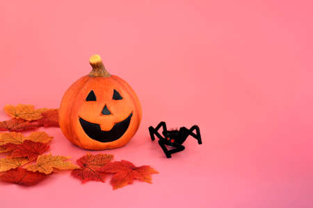 Halloween and automne background with pumpkin with big smile and colorful of autumn 'leaves  on  pink background and space for write text , decorate  or inviting halloween concept.の写真素材