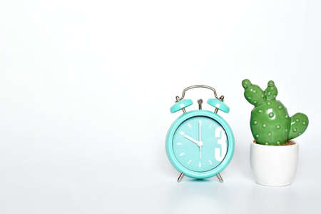 Selective focus ceramic cactus and  green mint vintage clock show 10 O'clock put on white gray...