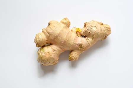 Freshness raw ginger on white background . Vegetable or ingredient in asia culinary ,spicy test ,growing in soil. top view, flat lay.の写真素材