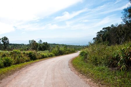 Road to Loei, Thailandの写真素材