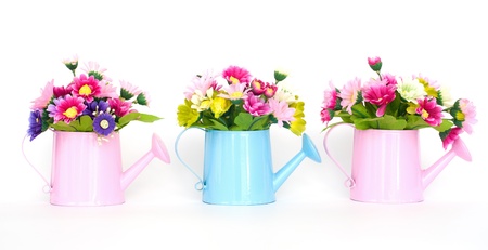 decorative flowers isolated on white backgroundの写真素材