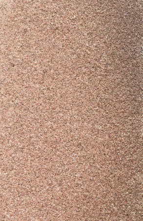 pumice sandstone background, macro shot
