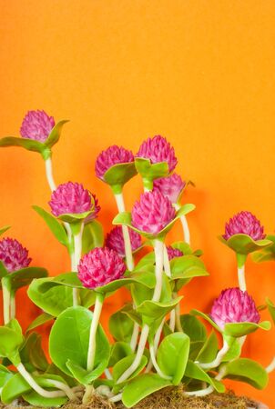 purple flowers decoration with orange wall backgroundの写真素材