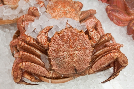 japanese hairy crab at the marketの写真素材