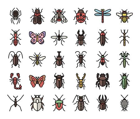 insect color outline vector icons bug and garden conceptのイラスト素材
