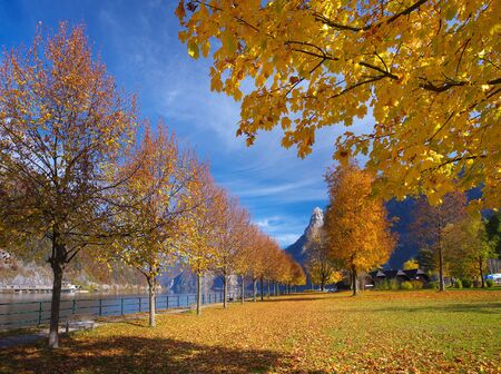 Autumnal parkの写真素材