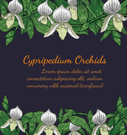Paphiopedilum orchids card by hand drawing.Orchids vector card on dark background.のイラスト素材