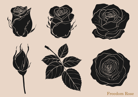 Rose ornament vector set by hand drawing.Beautiful flower on brown background.Rose art highly detailed in line art styleのイラスト素材