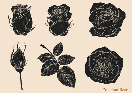 Rose ornament vector set by hand drawing.Beautiful flower on brown background.Rose art highly detailed in line art styleのイラスト素材