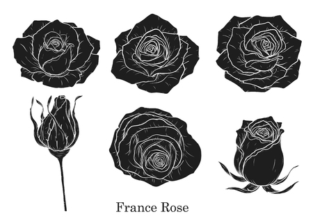 Rose vector set by hand drawing.Beautiful flower on brown background.Rose art highly detailed in line art styleのイラスト素材
