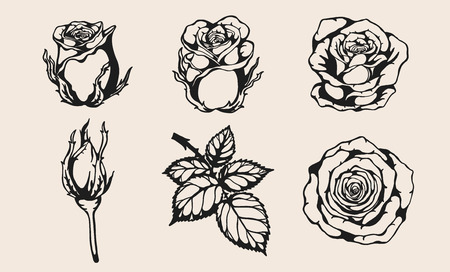 Rose vector set by hand drawing.Beautiful flower on brown background.Rose art highly detailed in line art style.のイラスト素材