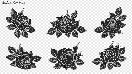 Rose ornament vector by hand drawing. Beautiful flower on transparent background. Arthur Bell rose vector art highly detailed in line art style. Flower tattoo for paint or pattern.のイラスト素材