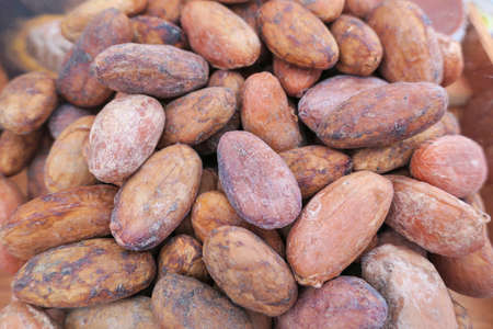 Close-up detail of dry cocoa beans.