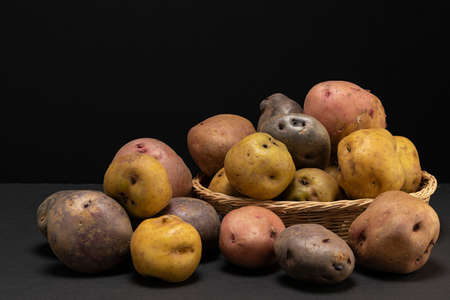 Still life of vegetables in dark key. Different types of vegetables in studio shot.の写真素材