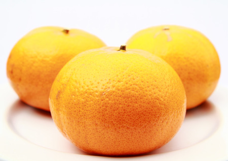 Orange on white backgroundの写真素材