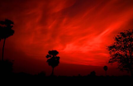 Red sky orange sunset sundown. Amazing amazingの写真素材