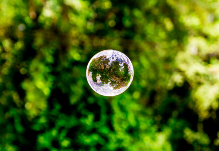Soap bubble flying Blur bokeh backgroundの写真素材