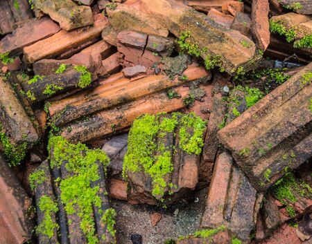 Brick stack on the ground for building.の写真素材