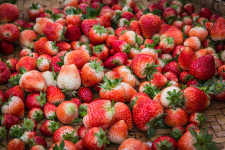 Red strawberryの写真素材