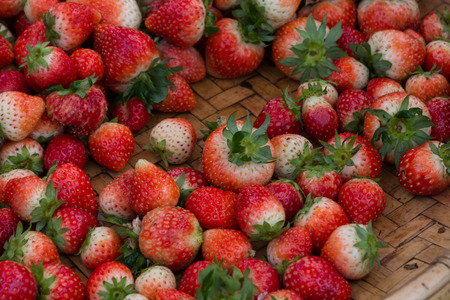 Red strawberryの写真素材