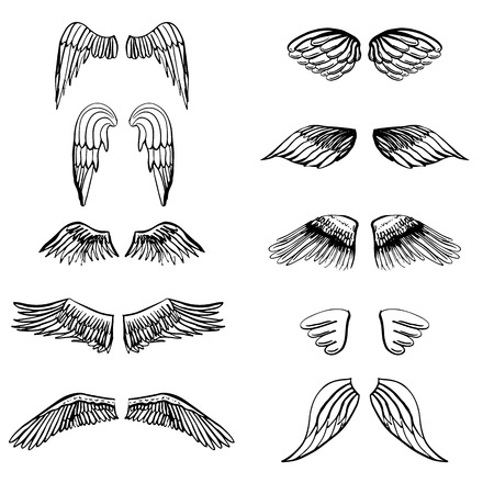 Wings illustration silhouettes set for making your own logo, badge, label designのイラスト素材