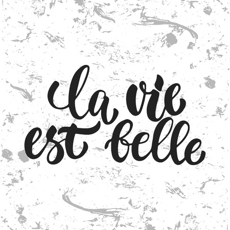 la vie est belle - hand drawn French lettering phrase it means Life is beautiful isolated on the white grunge background. Fun brush ink inscription for greeting card or t-shirt print, poster design.のイラスト素材
