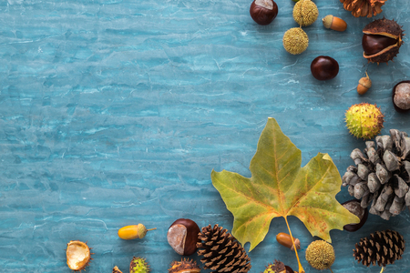 Autumn background with leaves, chestnuts, acorns, pine cone. Top view, flat lay Copyspaceの写真素材