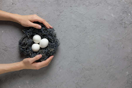 Woman hands holding chicken eggs in a nest on a gray concrete background. Top view. Flat lay. Postcard for Easter and Spring Holidays.の写真素材