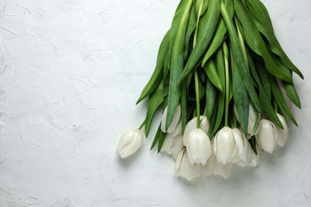 A bouquet of white tulips on a white concrete background. Top view. Flat lay. Postcard for Easter, Mothers Day and Spring Holidays.の写真素材